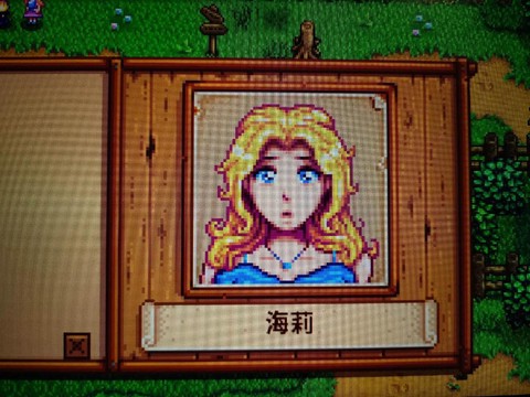 星露谷物语老婆怎么