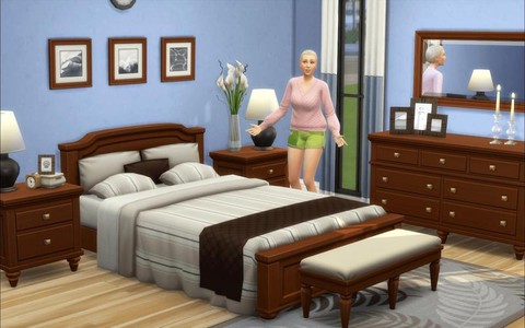 模拟人生4mod怎么安装