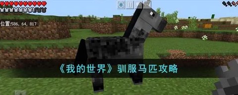 我的世界怎么驯服僵尸马[图1]