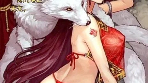 率土之滨妲己怎么样