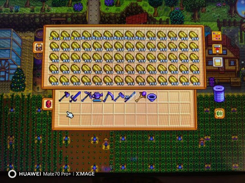 星露谷物语什么打折[图2]