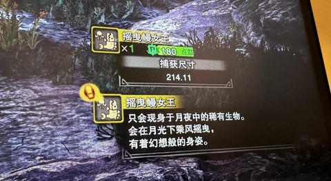 怪物猎人3怎么捕获怪物[图1]