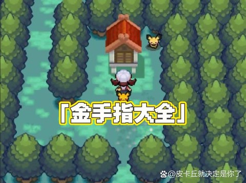 口袋妖怪白金金手指怎么[图2]