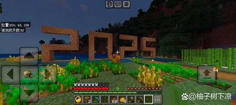 我的世界到底在玩什么