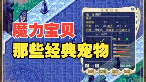 魔力宝贝什么宠物最好